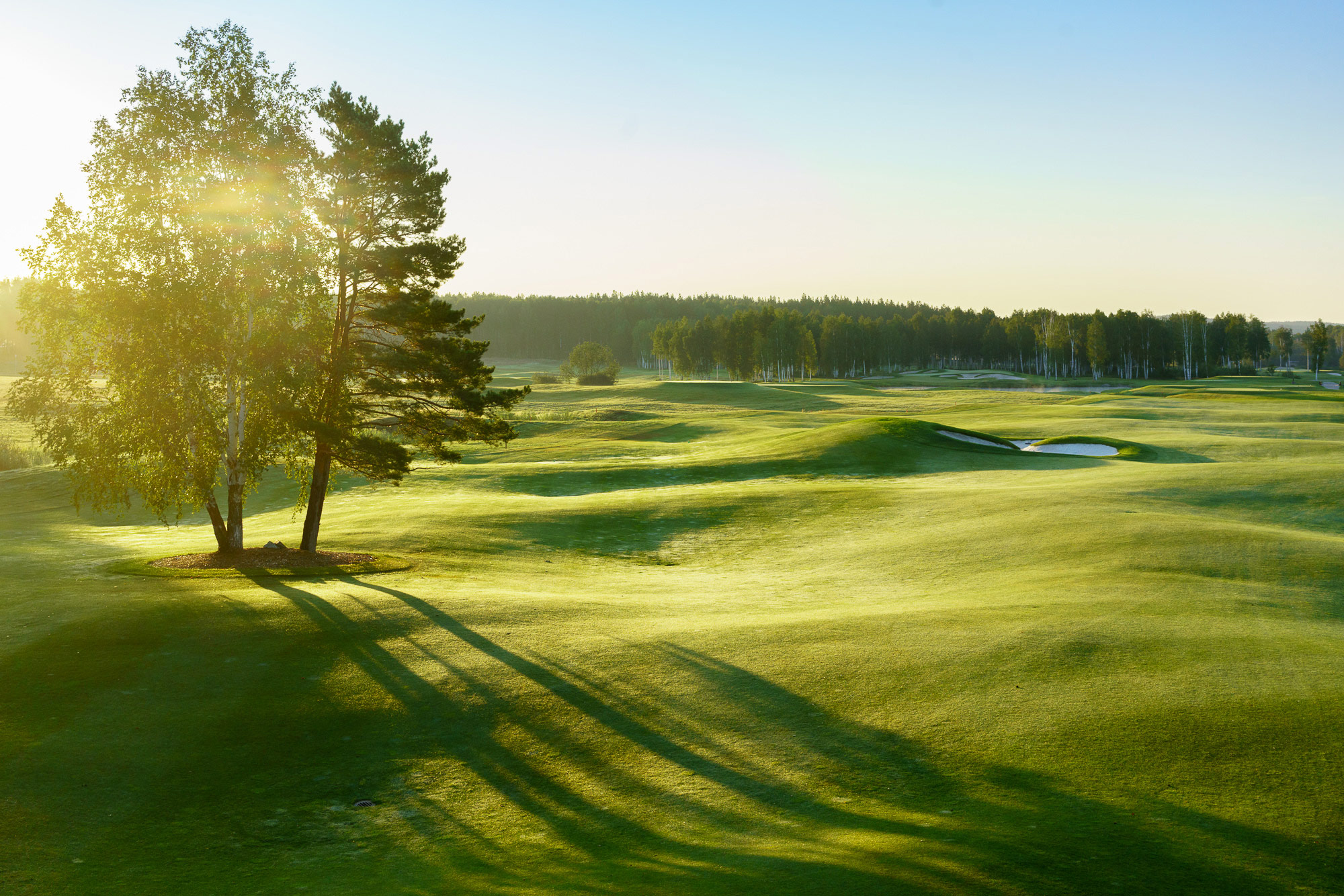 Pine Creek Golf Resort, Kashino (Гольф клуб, Кашино)